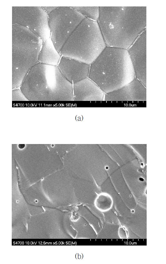 BSCF 관형 분리막의 SEM 분석 결과: (a) 표면, (b) 단면