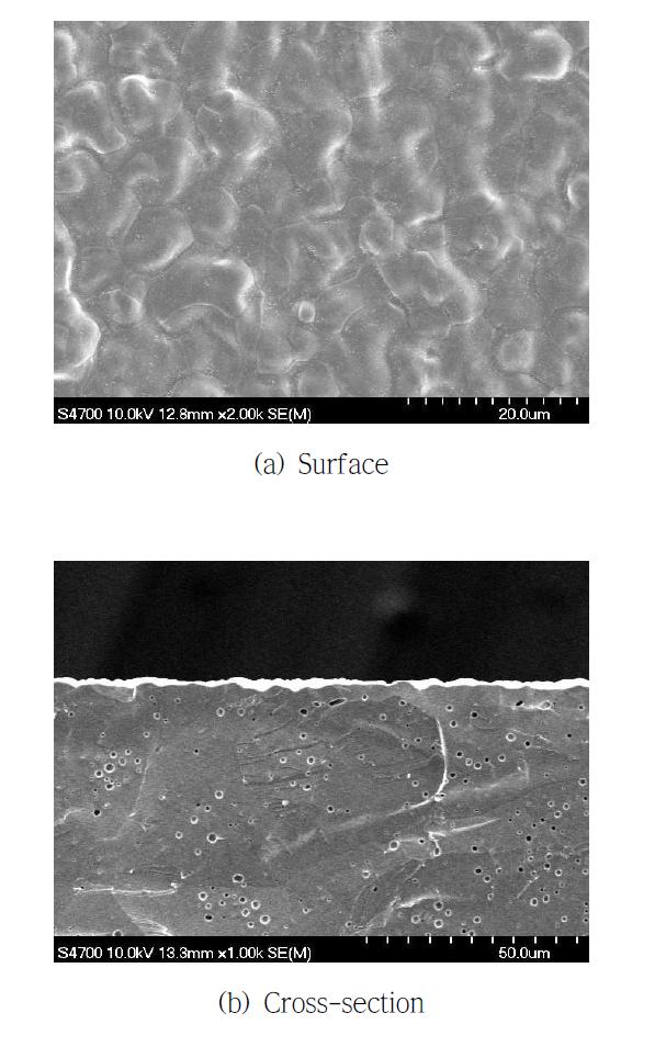 회수속도 3 cm/min로 코팅된 LSTF 코팅 층의 SEM 분석결가: (a) 표면, (b) 단면