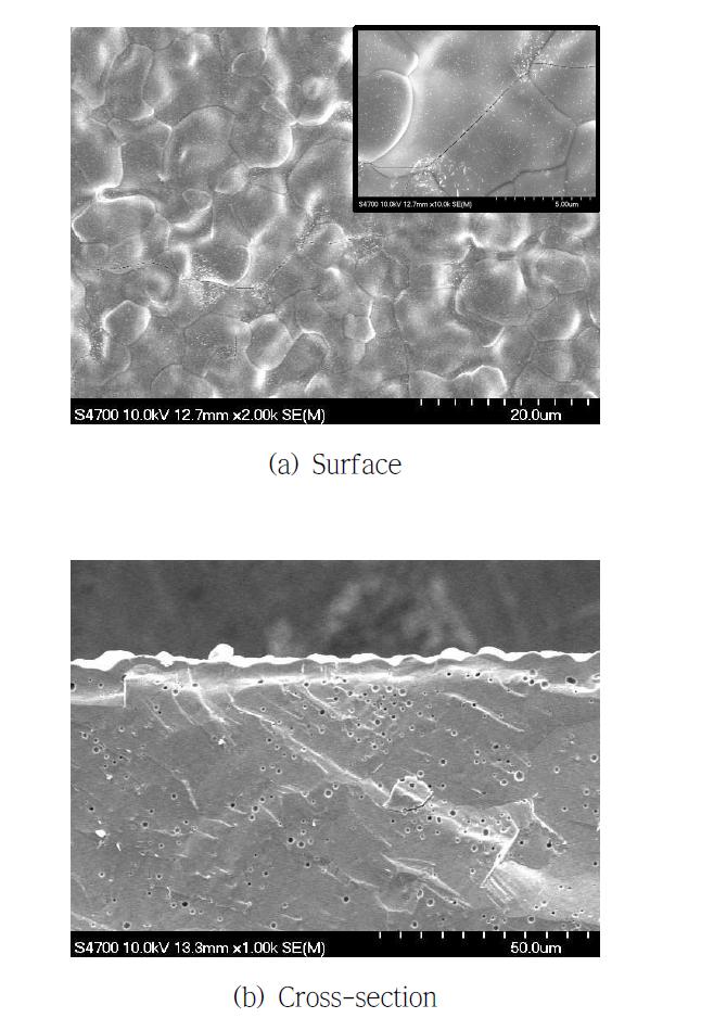 회수속도 6 cm/min로 코팅된 LSTF 코팅 층의 SEM 분석결가: (a) 표면, (b) 단면