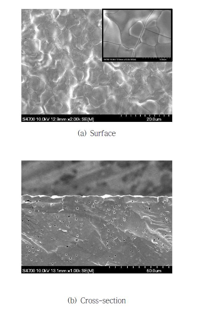 회수속도 9 cm/min로 코팅된 LSTF 코팅 층의 SEM 분석결가: (a) 표면, (b) 단면