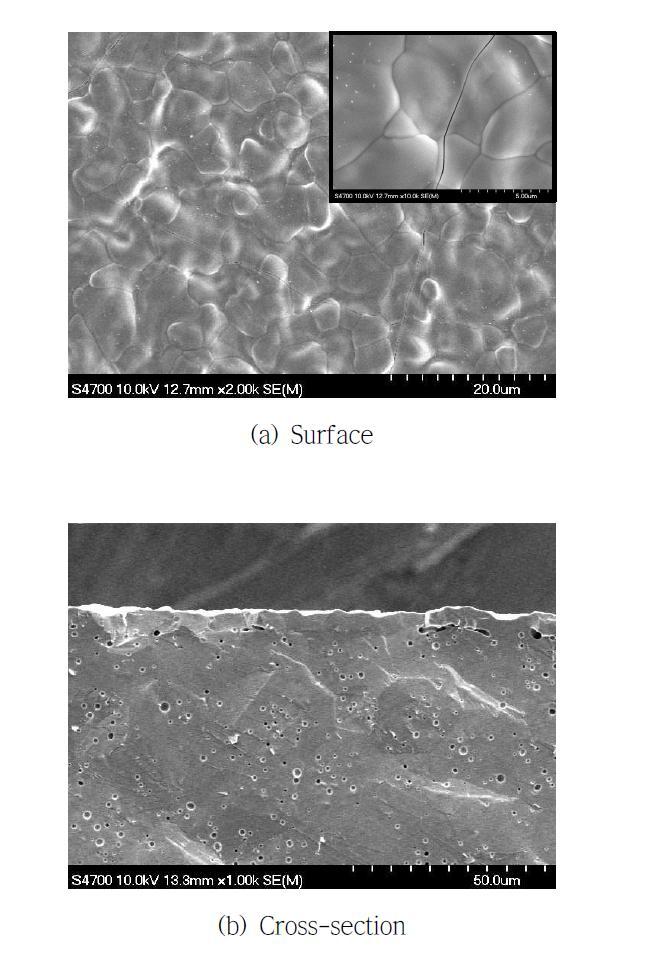 회수속도 3 cm/min로 2회 코팅된 LSTF 코팅 층의 SEM 분석결가: (a) 표면, (b) 단면