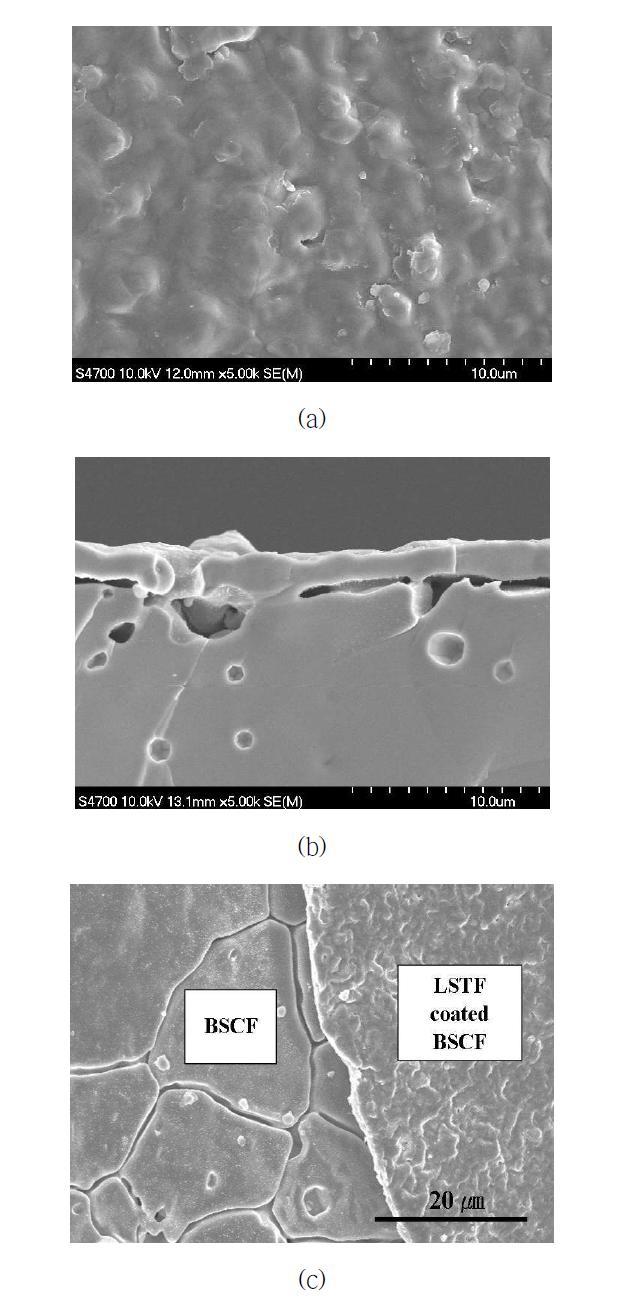 LSTF가 코팅된 BSCF 관형 분리막의 SEM 분석결과: (a) 표면, (b) 단면, (c) 표면 코팅층 비교