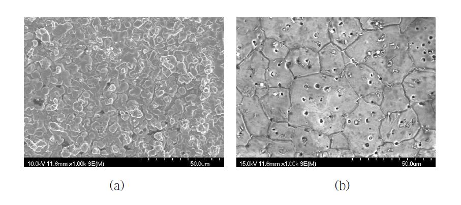 CO2 농도에 따른 산소투과 실험 후 BSCF 분리막의 SEM 분석결과: (a) 공급 측, (b) 투과 측