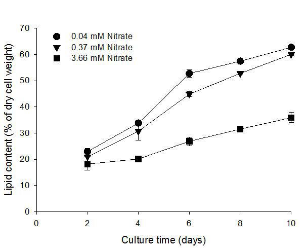 Total lipid content of Botryococcus braunii with various nitrate concentrations in Chu-13 medium