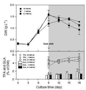 DW, TFA, and GLA contents in Spirulina platensis in a LD two-stage system where cultures were incubated in continuous light for 9 days and then grown in continuous dark conditions. Cultures were supplemented on day 0 with 0.1, 1, or 10 mM acetic acid (AA). Each data point represents mean±SD of two independent samples. A symbol, asterisk, shows significant difference between the control and the treatment by t test (P < 0.05). DW, TFA, and GLA contents in Spirulina platensis in a LD two-stage system where cultures were incubated in continuous light for 9 days and then grown in continuous dark conditions. Cultures were supplemented on day 0 with different palmitic acid (PA) concentrations. Each data point represents mean±SD of two independent samples. A symbol, asterisk, shows significant difference between the control and the treatment by t test where cultures were incubated in continuous light for 9 days and then grown in continuous dark conditions. Cultures were supplemented on day 0 with different palmitic acid (PA) concentrations. Each data point represents mean±SD of two independent samples. A symbol, asterisk, shows significant difference between the control and the treatment by t test