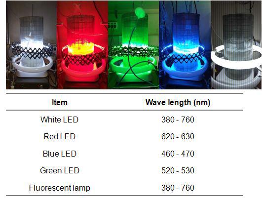 Light Emitting Diode (LEDs) as light source