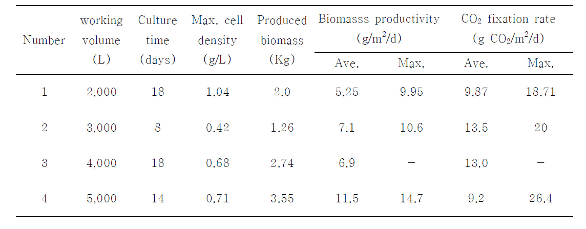 Biomasss productivity and CO2 fixation rate of mass cultured Scencedesmus sp. in open raceway pond.