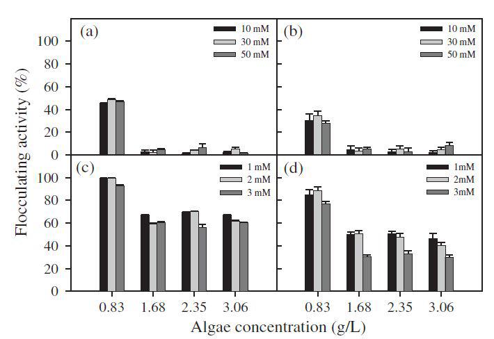 Effect of cationic coagulants on flocculating activity with various Scenedesmus sp. culture densities. The densities of the algal cultures ranged from 0.83 to 3.06 g/L dry cell weight. (a) and (b) flocculating activities with 10, 30, and 50 mM divalent cationic coagulants, such as CaCl2 and MgSO4 (c) and (d) flocculating activities with 1, 2, and 3 mM trivalent cationic coagulants, such as FeCl3 and Al2(SO4)3. The concentration of each coagulant is indicated in the top-right corner of each panel.