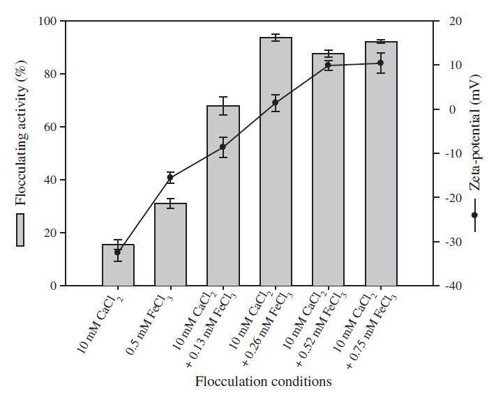 Effect of consecutive treatment with CaCl2 and FeCl3 on flocculating activity and zeta-potential value. The concentration of a representative high density algal culture was 2.35 g/L.