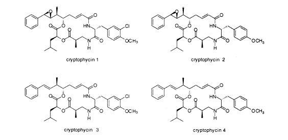 Structure of cryptophycins.