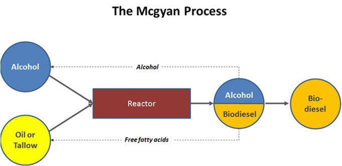 Biodiesel production process using continuous transesterification process, Mcgyan Process(McNeff, Gyberg and Yan)