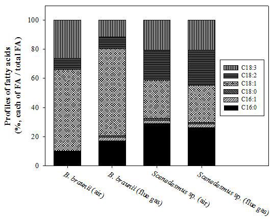 Profiles of fatty acids in Botryococcus braunii (14 days) and Scenedesmus sp. (26 days) cultivated with ambient air and flue gas containing 5.5% CO2. Experiments were carried out in triplicate