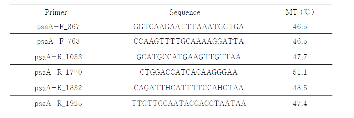 Primer list of psaA gene of Scenedesmus dimorphus