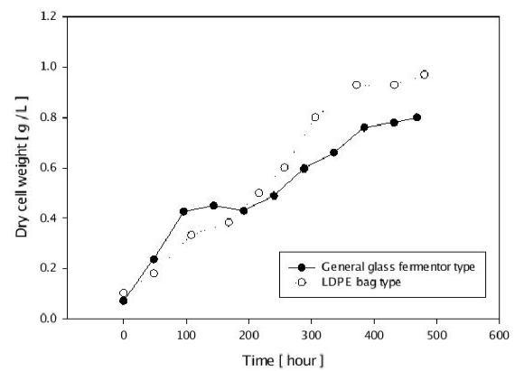 Dry cell weight를 활용한 개발된 반응기(LDPE)와 Glass fermenter의 배양 성능 비교.