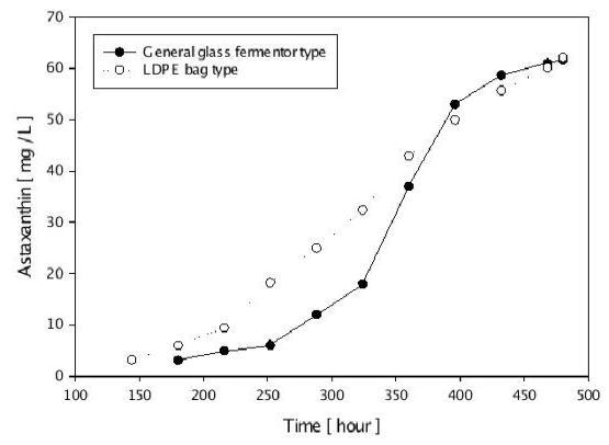 Astaxanthin 농도를 활용한 개발된 반응기(LDPE)와 Glass fermenter의 배양 성능 비교.