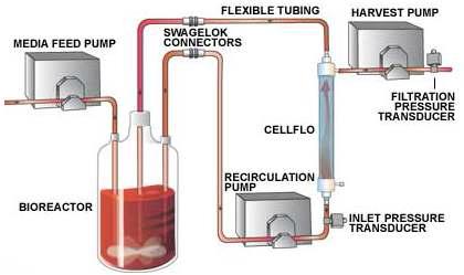perfusion 공법을 이용한 세포배양 예시 [86].
