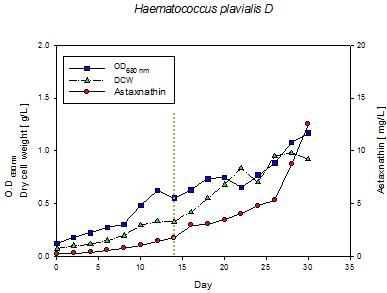 99.9%의 이산화탄소를 적용하여 배양한 Haematococcus pluvialis의 성장곡선 (반응기 D).