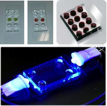 Microfluidic devices.