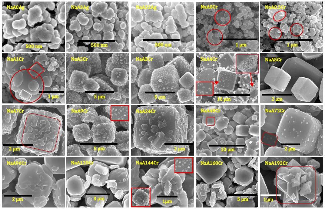 SEM images of specimens obtained at different stages of NaA zeolite crystal growth.