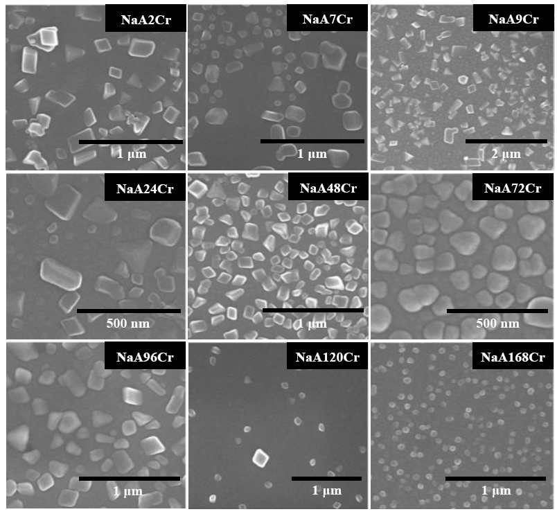 SEM micrographs of the specimens collected at different stages of NaA zeolite crystallization revealing the formation of nano-size particles