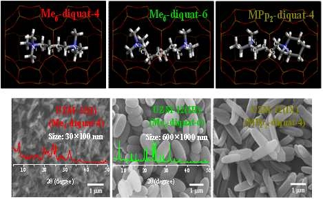 합성된 UZM-12의 eri-cage내에 존재하는 Diquaternary Alkylammonium ions의 에너지 최소화 형상 (위)과 SEM 이미지