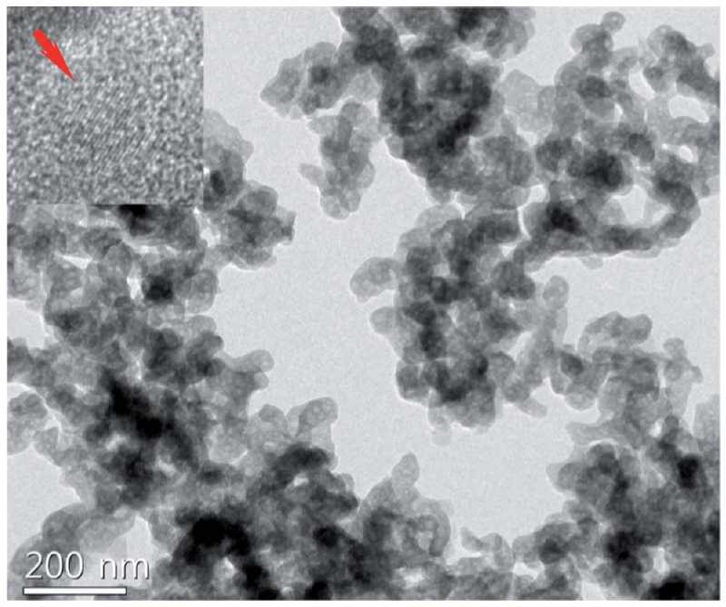 TEM micrograph of as-synthesized nanocrystalline NaA zeolite.
