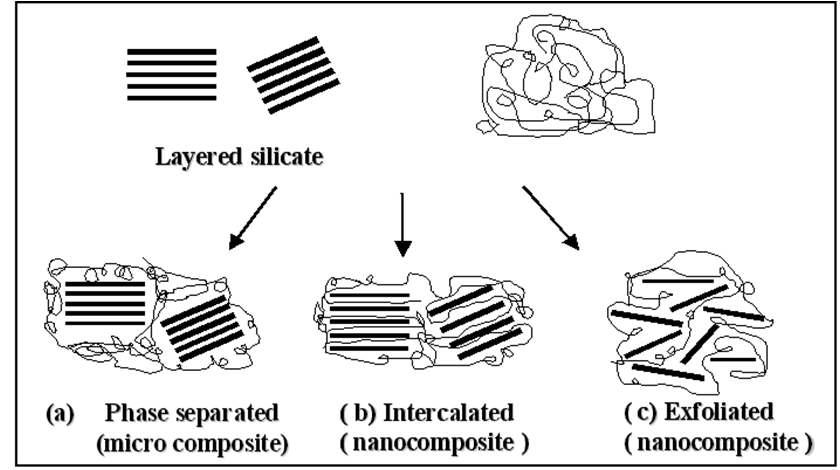 Layered silicate와 고분자 간의 상호작용에 따른 복합재료 형성