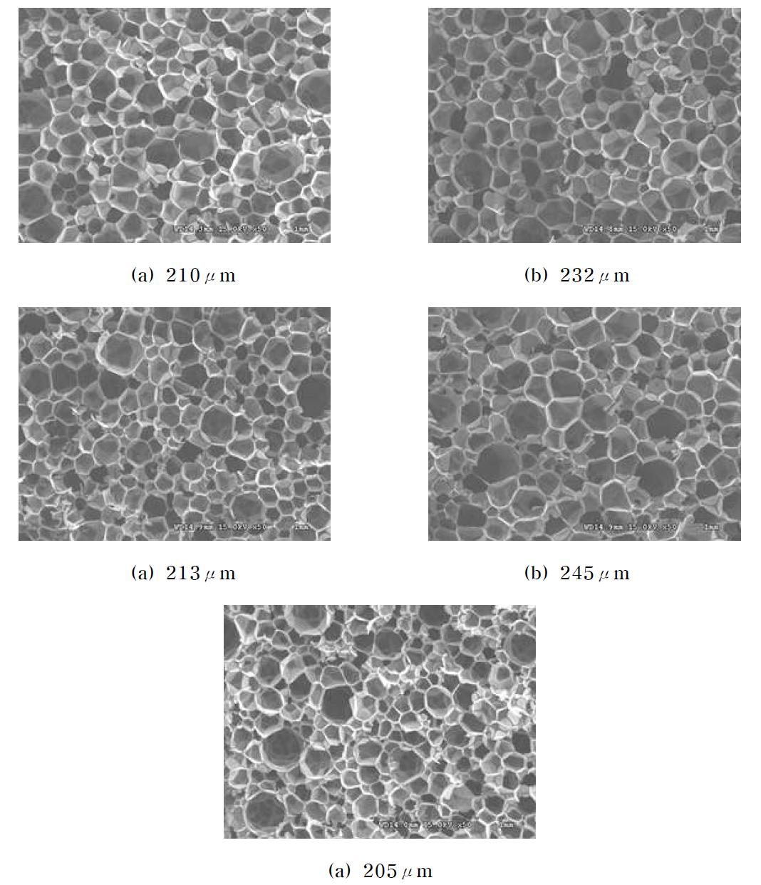 SEM images and cell size of polyurethane foam using various blowing agents : (a) cyclopentane (b) n-pentane (c) isopentane (d) water (e) HCFC-141b