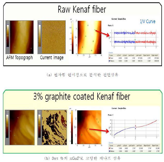 원자힘 현미경으로 분석한 천연섬유(a) 및 3wt %의 xGnP로 코팅한 케나프 섬유(b)의 표면형상과 전도도를 나타내는 I-V곡선