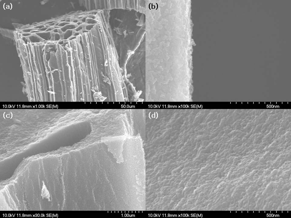셀룰로오스 섬유의 고온 다단 열처리를 통해 얻은 새로운 구조의 탄화물에 대한 SEM 이미지