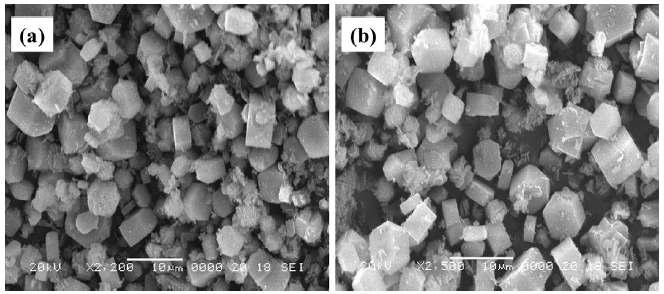 (a)NaZSM-5 SEM 이미지, (b)CeO2(5%)/NaZSM-5 SEM 이미지.