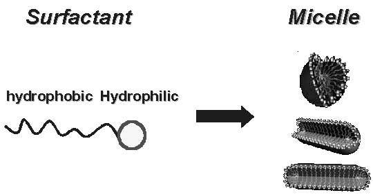 Schematic of surfactant and Micelle.