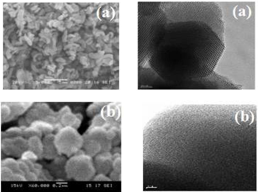 SEM and TEM images of (a)SBA-15, (b)MCM-41