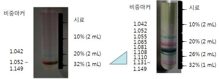 미토콘드리아 분획