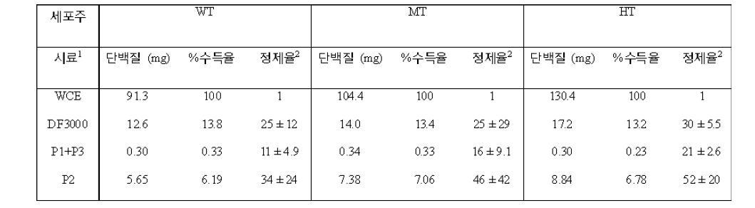 Cybrid 미토콘드리아 분리 정제과정에서 얻은 시료들의 단백질 농도와 정제율