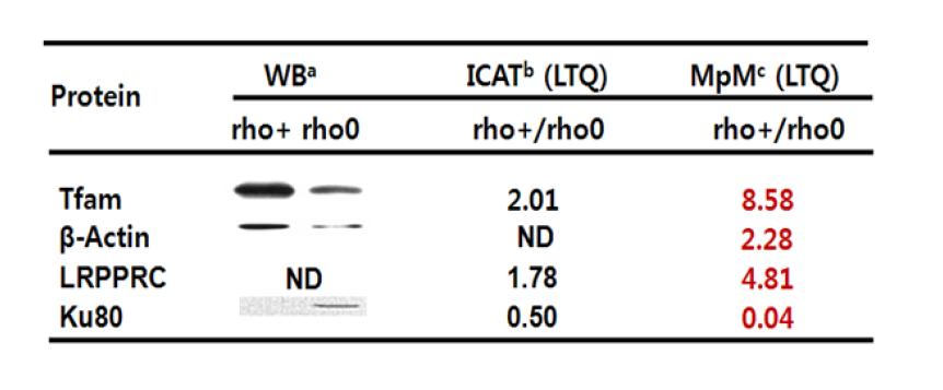 Relative quantification using Western blotting, ICAT, and MpM method