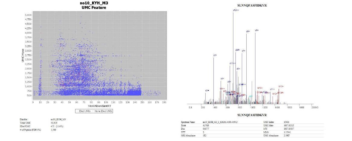 UMC Feature와 Tandem Spectrum