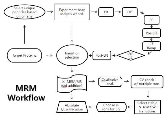 MRM Workflow