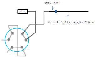 Needle-like C-18 packed analytical column