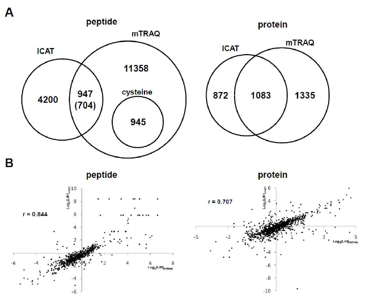Complementary profile of colon cancer tissue proteome by using mTRAQ and ICAT.