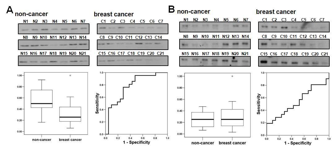 clinical validation of biotinidase and glutathione peroxidase 3 as potential breast cancer biomarkers