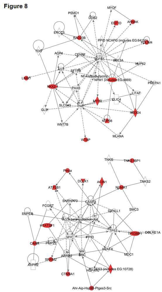 50 과발현 인산화단백질에 대한 pathway 분석. 위: MDA-MD-231. 아래: MCF-7