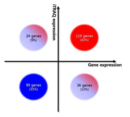 Protein expression vs Gene expression