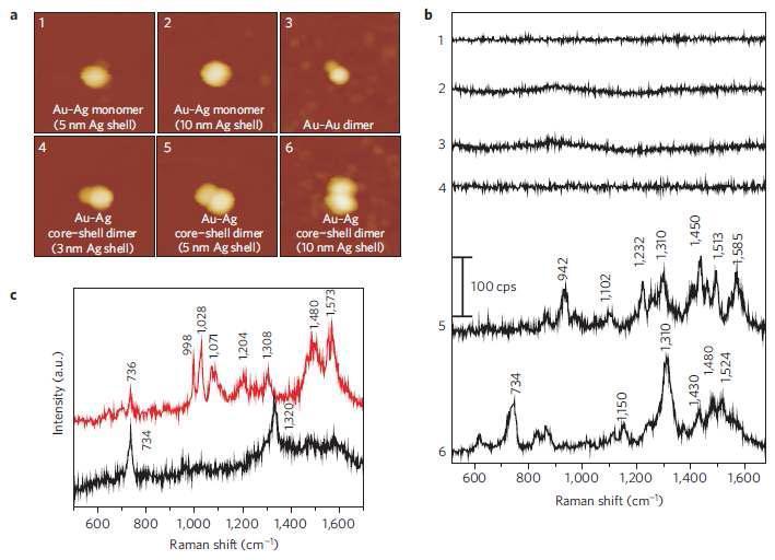 AFM-correlated NanoRaman measurements and acquired Raman spectra. a. AMF images, b. corresponding Raman spectra, c. Reference spectra