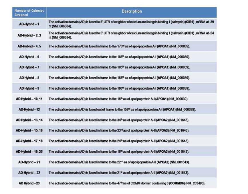 Proteins binding to RNF170 identified by yeast 2-hybrid screening.