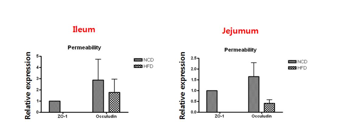 Intestinal permeability 관련 유전자들의 발현의 변화. High-fat diet를 투여한 마우스에서 ZO-1, occludin 등 permeability 조절하는 유전자의 발현이 저하되어 있었음.