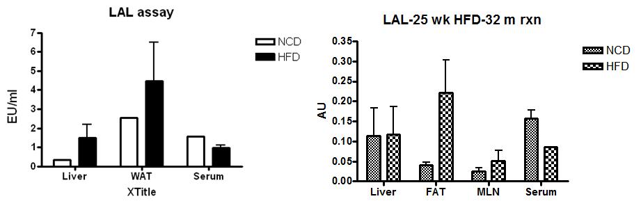 Endotoxin 등의 translocation. High-fat diet 를 한 마우스에서 liver tissue 및 white adipose tissue (WAT) 에서 endotoxin content 가 높아 proinflammatory condition으로 갈 수 있음 을 관찰, 그러나 serum 내의 endotoxin content는 변화하지 않았음.