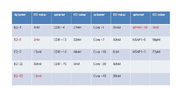 그림 6. SELEX process를 통해서 얻은 aptamer와 Kd values