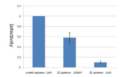 그림 18. E2 aptamer의 항HCV 효과
