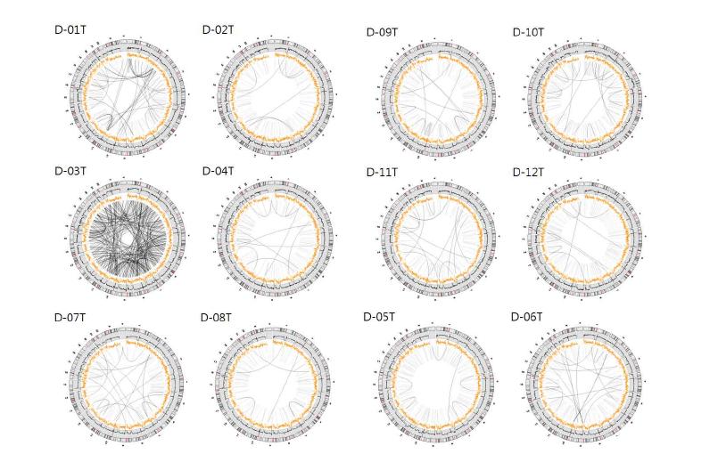 Variation of tumor genomes.